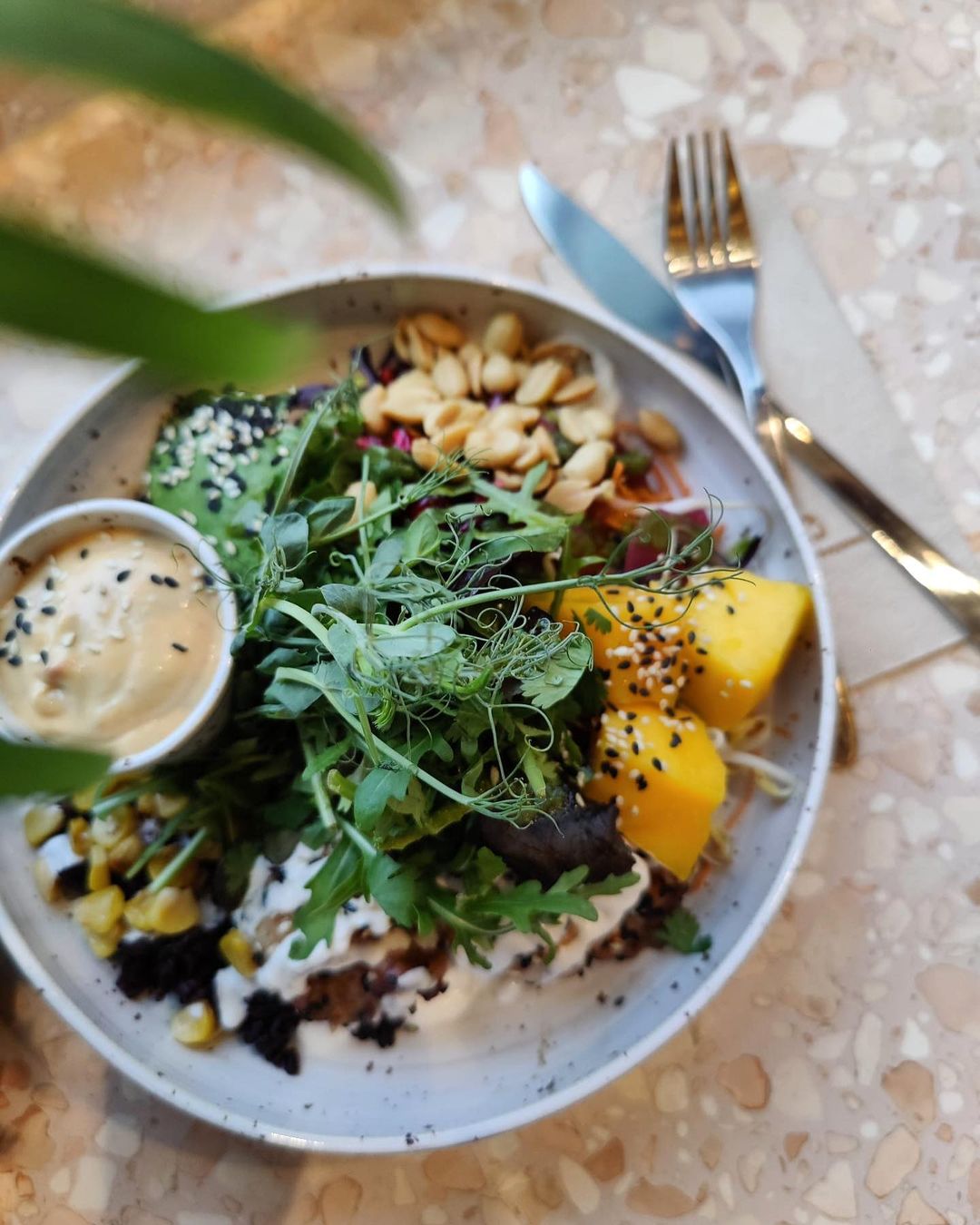 BODYBUDDY Masthuggskajen