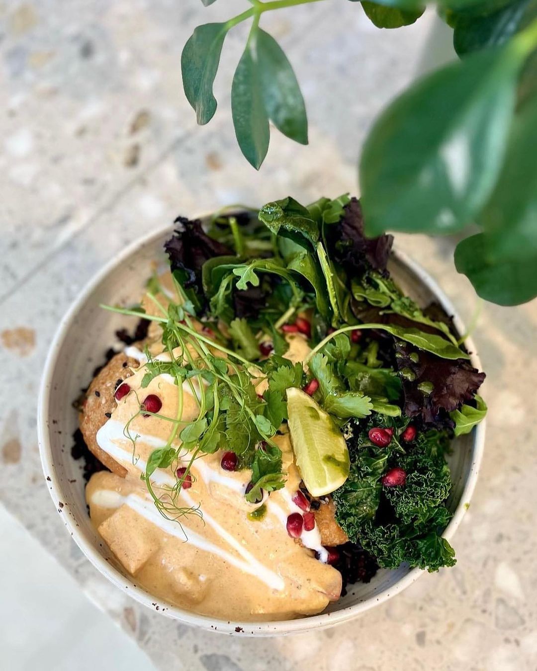 BODYBUDDY Jungfrugatan