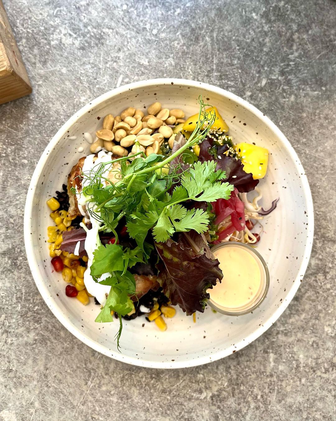 BODYBUDDY Jungfrugatan