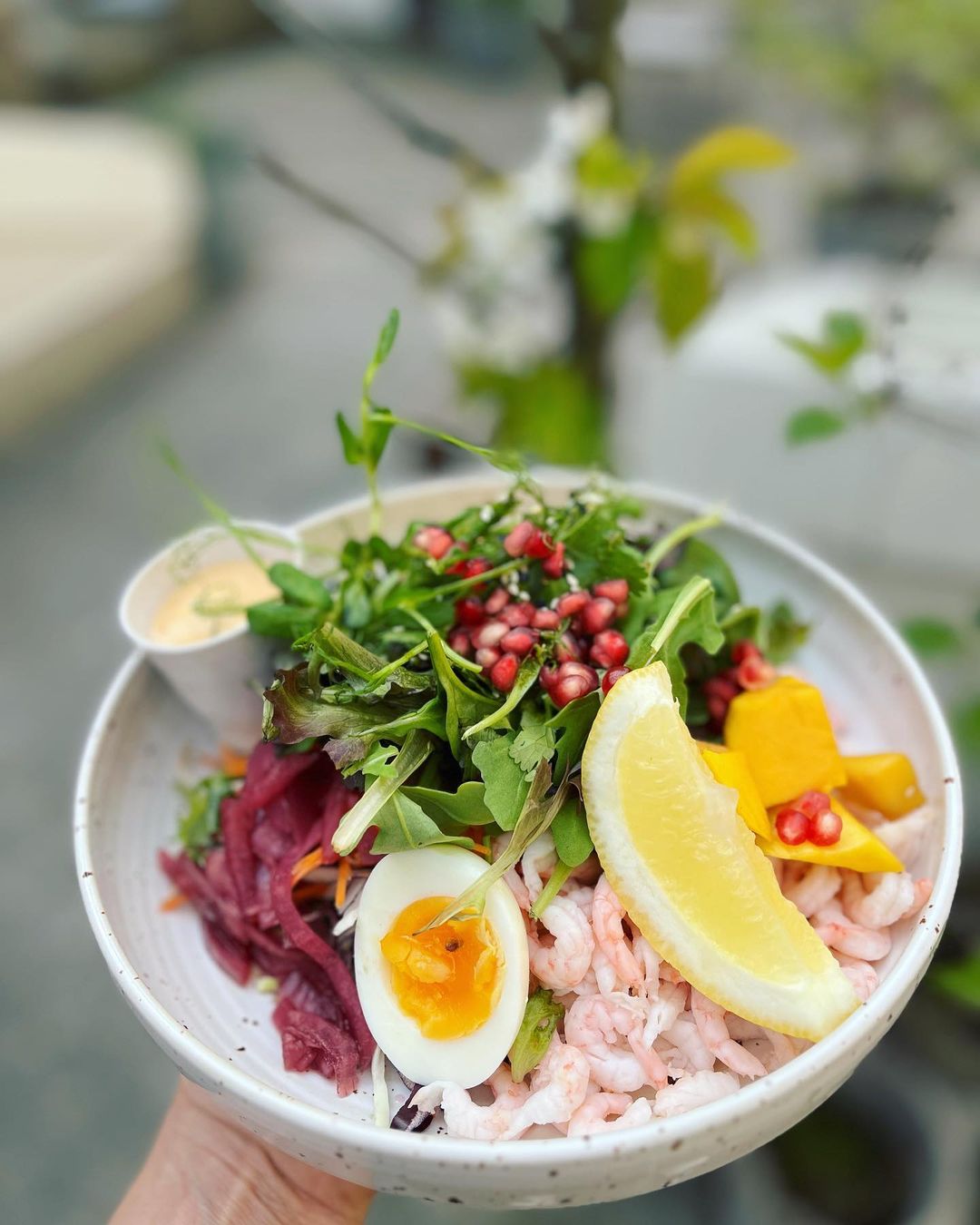 BODYBUDDY Smålandstorget