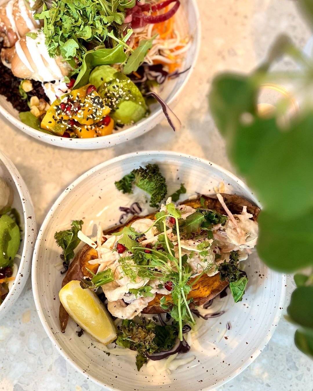 BODYBUDDY Masthuggskajen